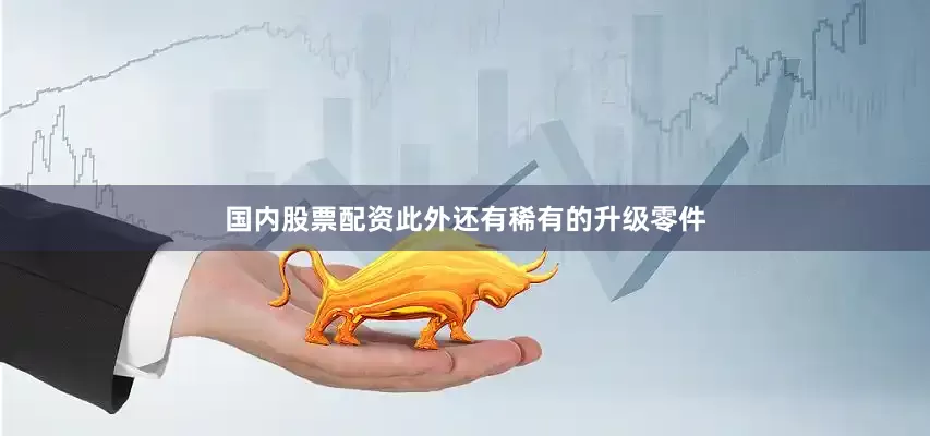 国内股票配资此外还有稀有的升级零件